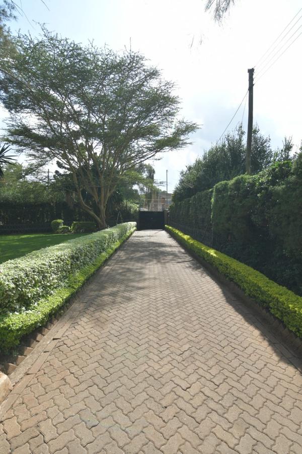 0.47 ac Commercial Property with Parking at Mucai Drive - 2