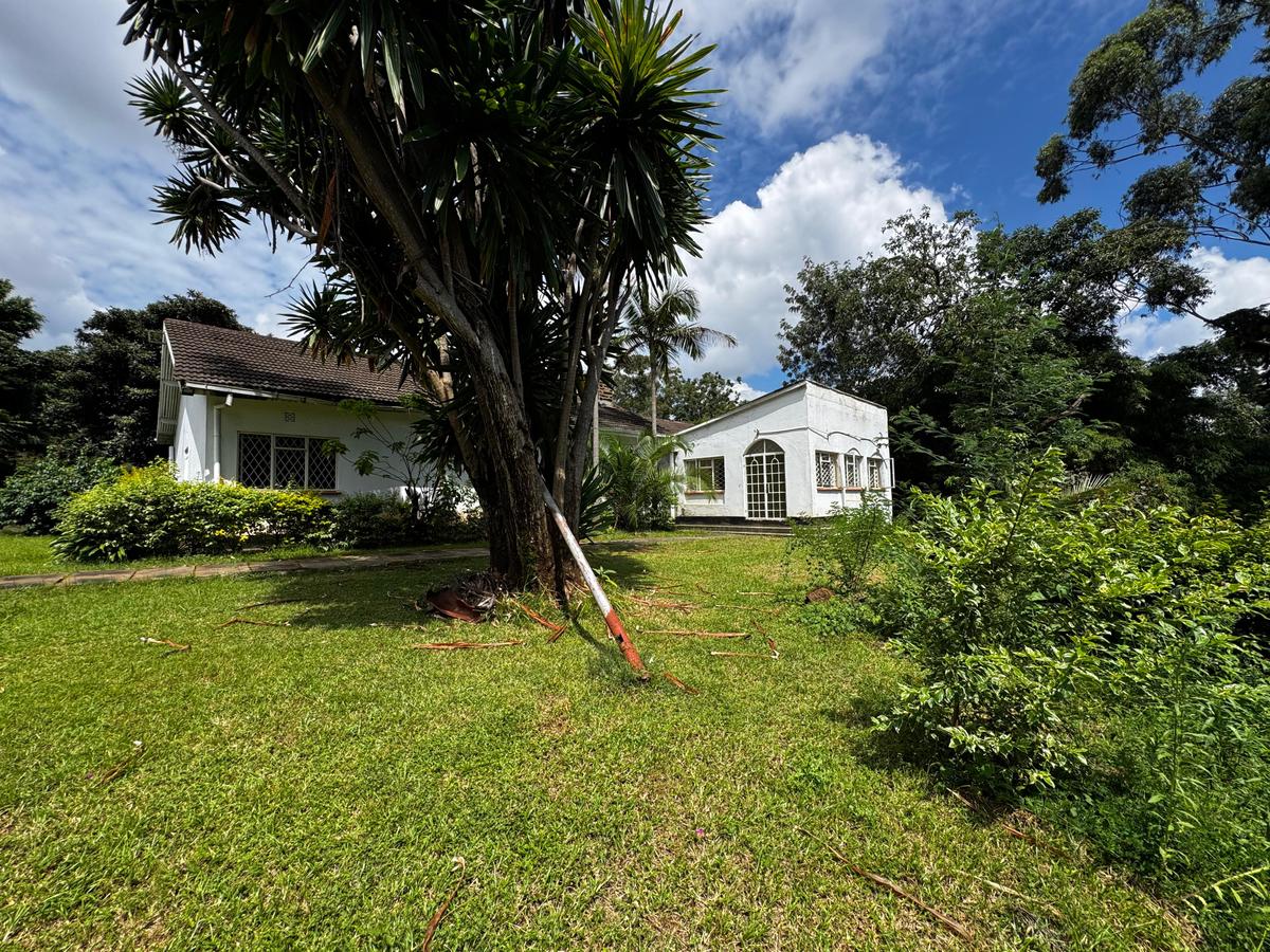 1 ac Commercial Property with Parking in Riverside - 11