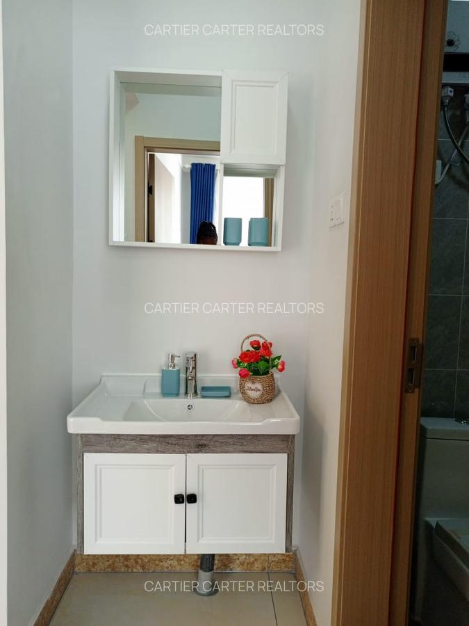 Studio Apartment with Gym in Mlolongo - 9