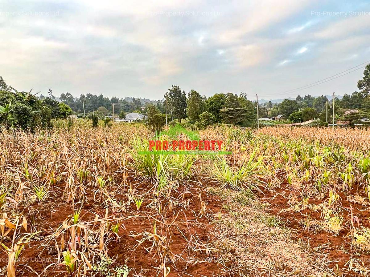 0.05 ha Residential Land in Kamangu - 13