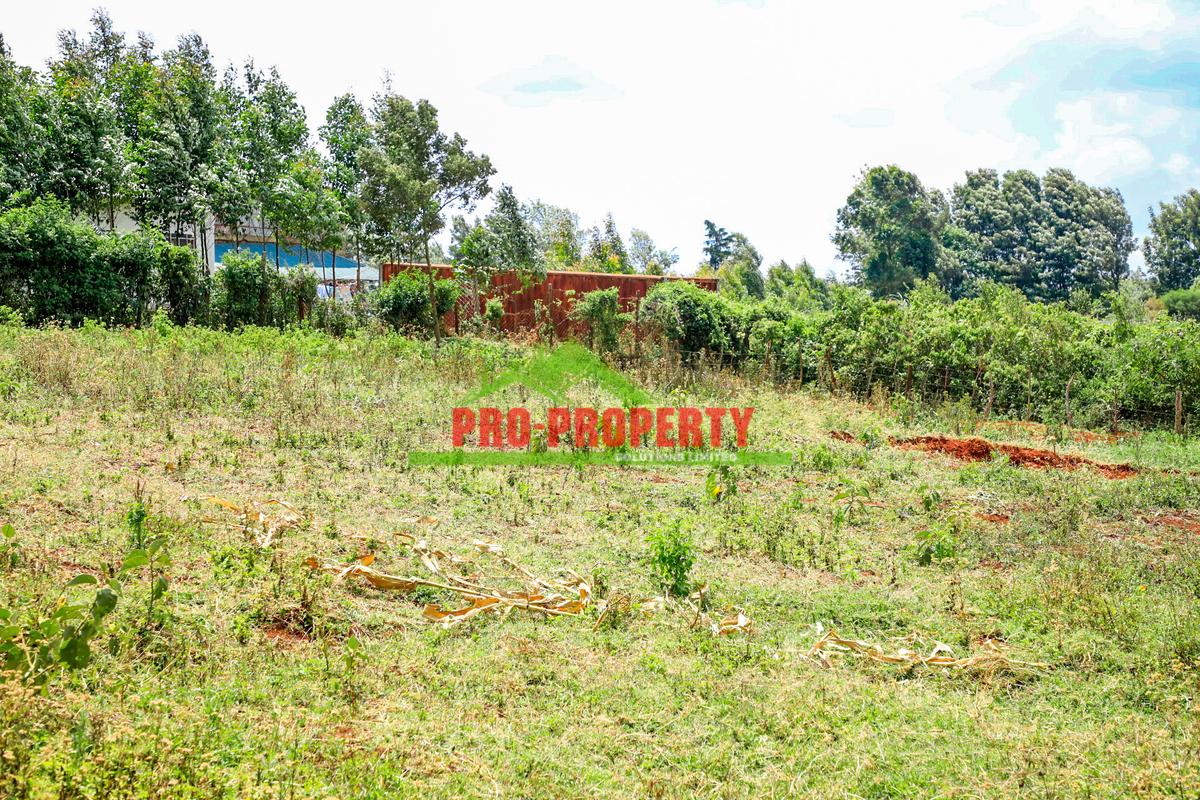 0.25 ha Commercial Land at Ondiri - 5