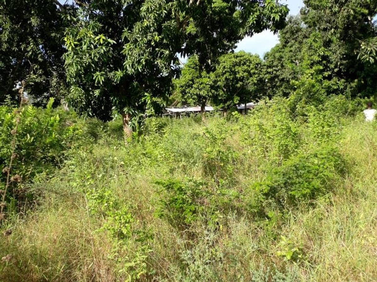 4,047 m² Commercial Land in Kilifi County - 2