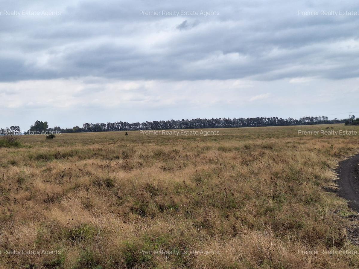 700 ac Land at Bisil - 3