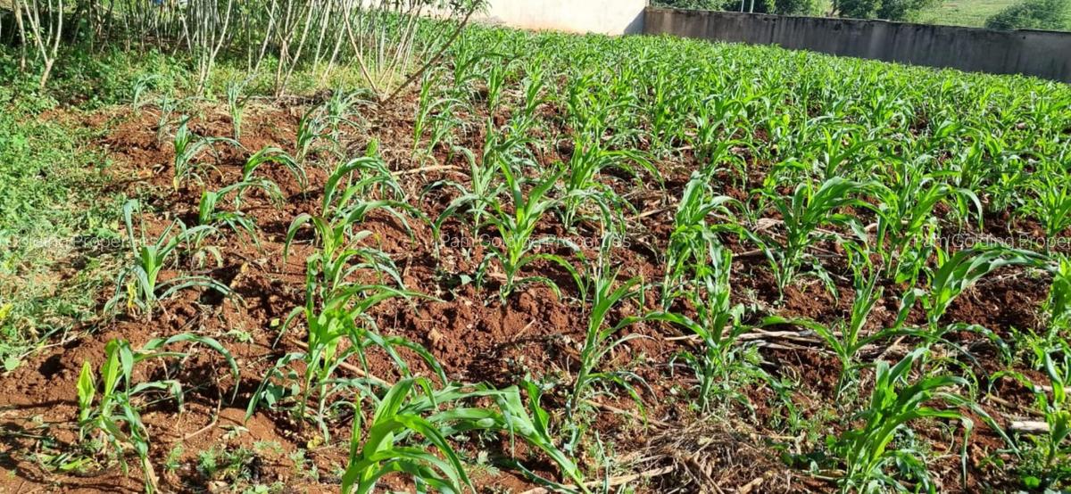 0.5 ac Land at Kinanda Close - 6
