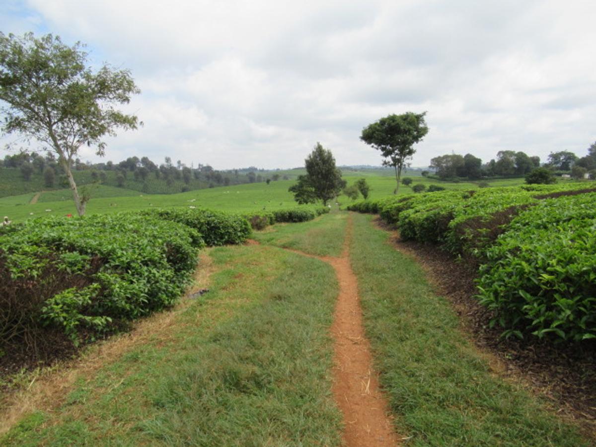 Land in Kiambu Town - 2