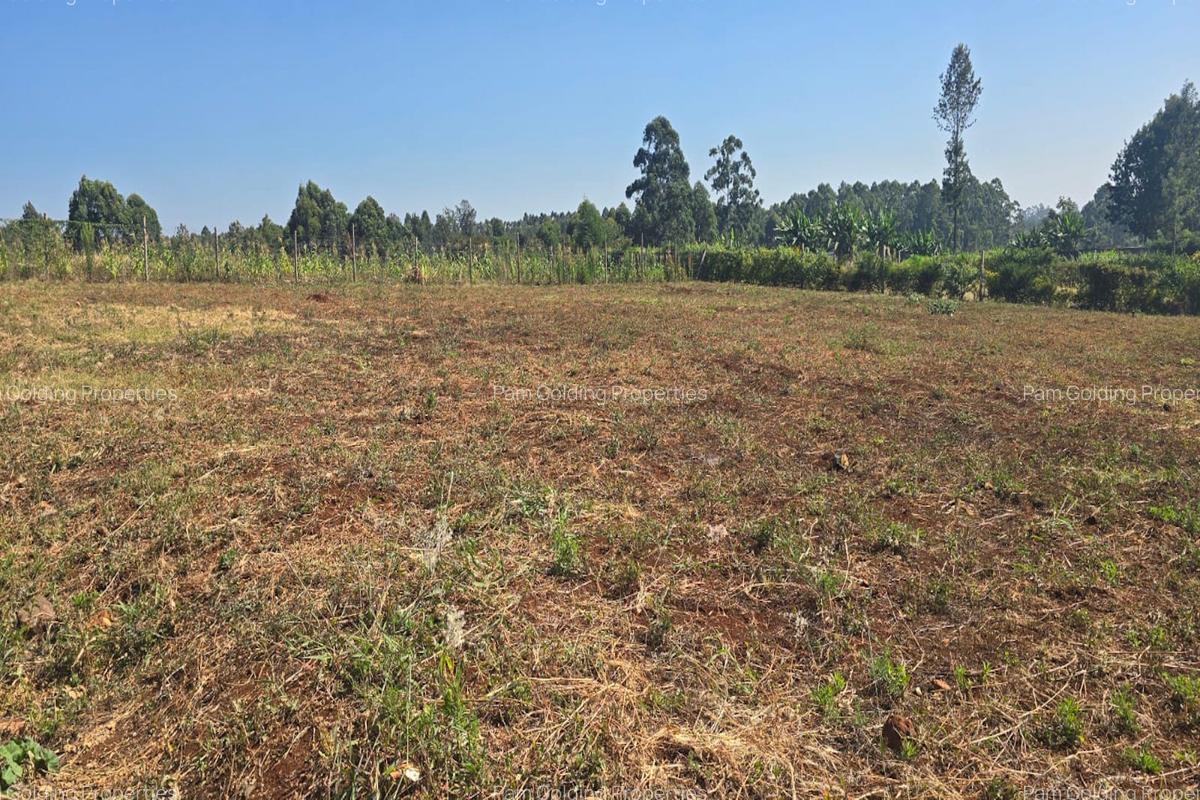 0.49 ac Residential Land in Runda - 5