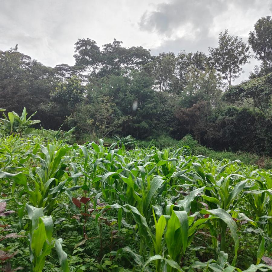 1 ac Land at Ngong - 16