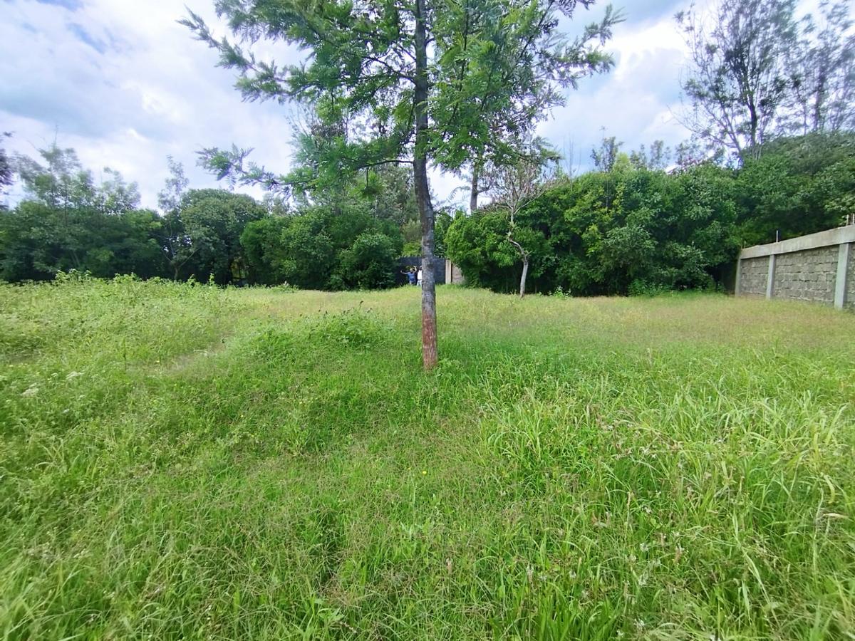 0.125 ac Land at Muthaiga - 3