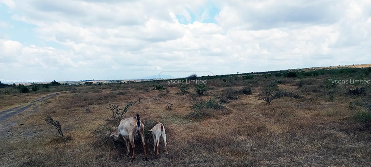 5 ac Residential Land in Athi River - 4