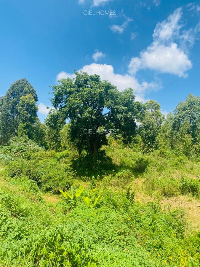 100 ac Land at Kenol-Murang’A Highway - 10