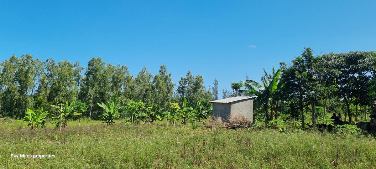 5 ac Land at Mtepeni - 1