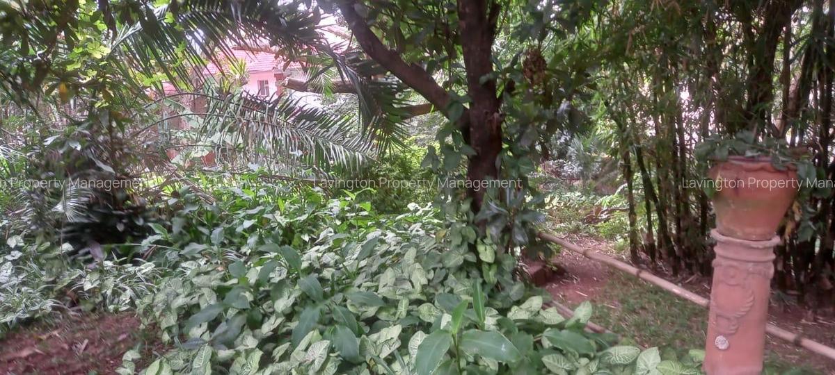 0.65 ac Residential Land at Mbaazi Avenue - 6