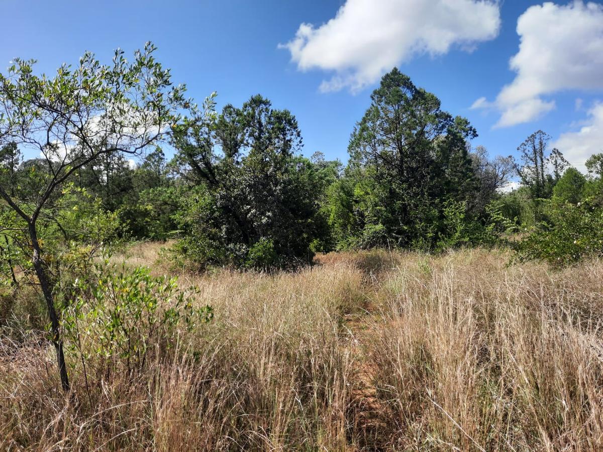 6 ac Land in Nanyuki - 1