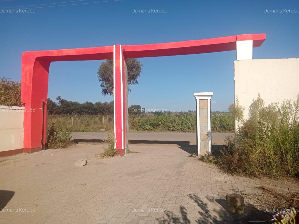 0.23 ac Land at Ngata - 5