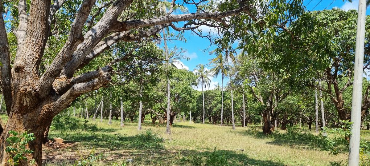 6 ac Land at Mtwapa - 8