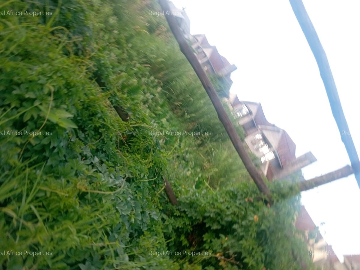 1.25 ac Land in Lavington - 4