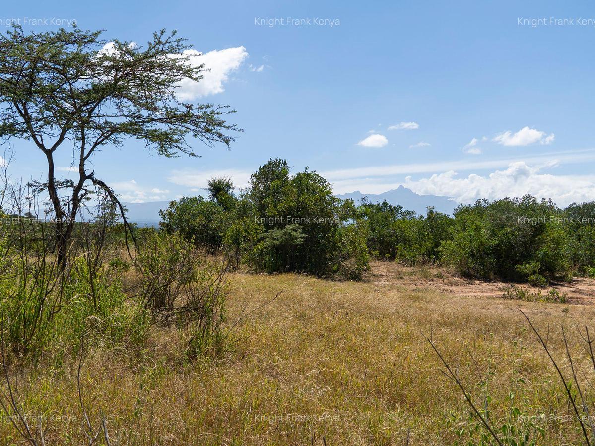30.3 ac Land at Lolldaiga Valley - 3