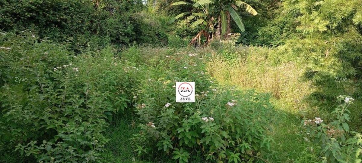 0.125 ac Land at Near Norbrook Kenya Ltd - 11