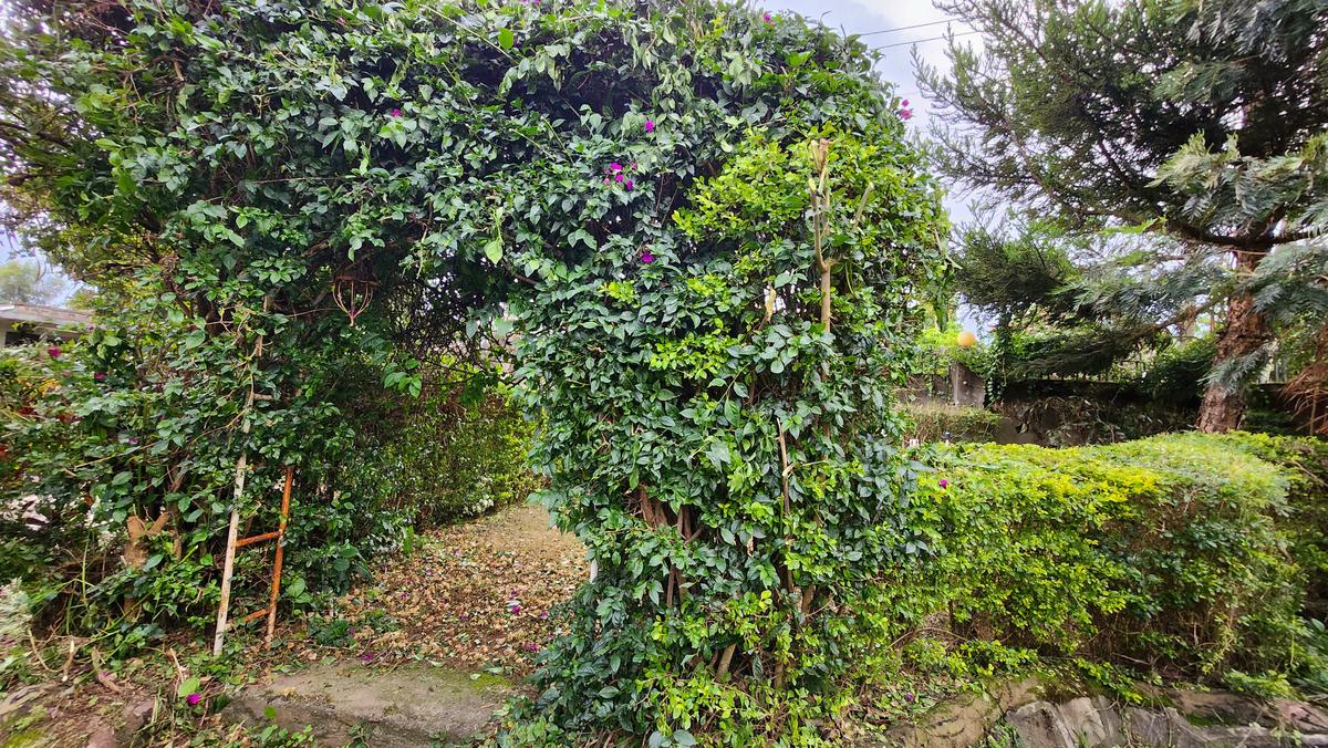 4 Bed House with En Suite in Nakuru - 6
