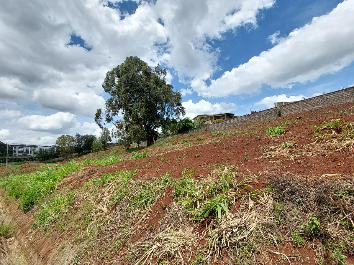 Residential Land at Rosslyn Valley - 4