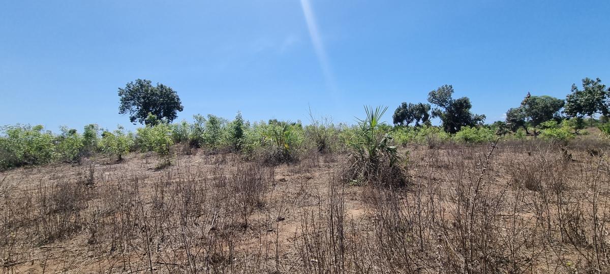 1 ac Land at Gorofani - 13