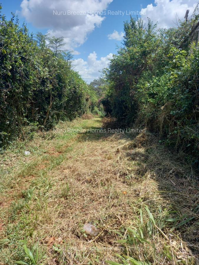 1 ac Residential Land in Runda - 4