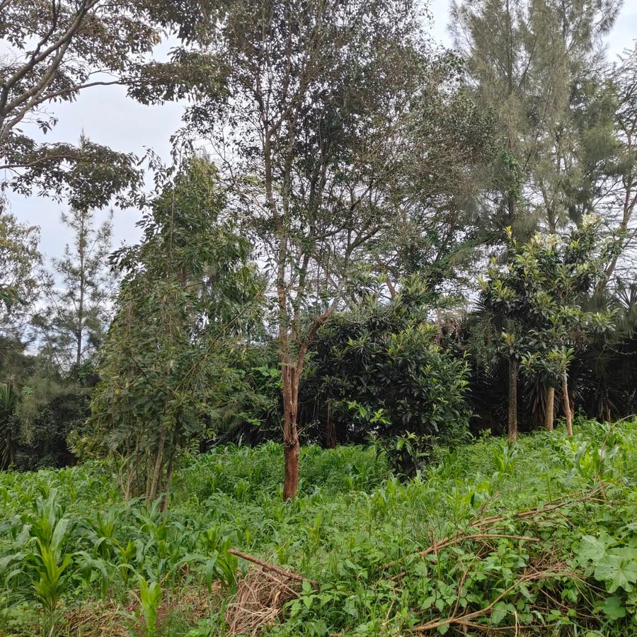 1 ac Land at Ngong - 6