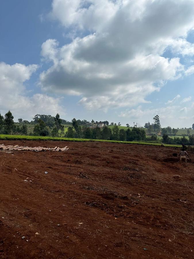 1 ac Land in Tigoni - 20