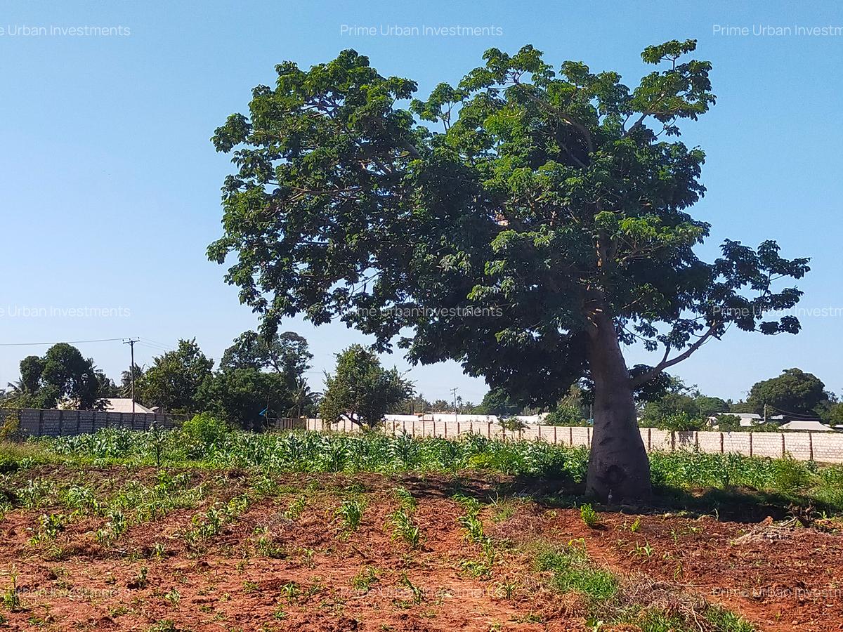 Land in Mtwapa - 7