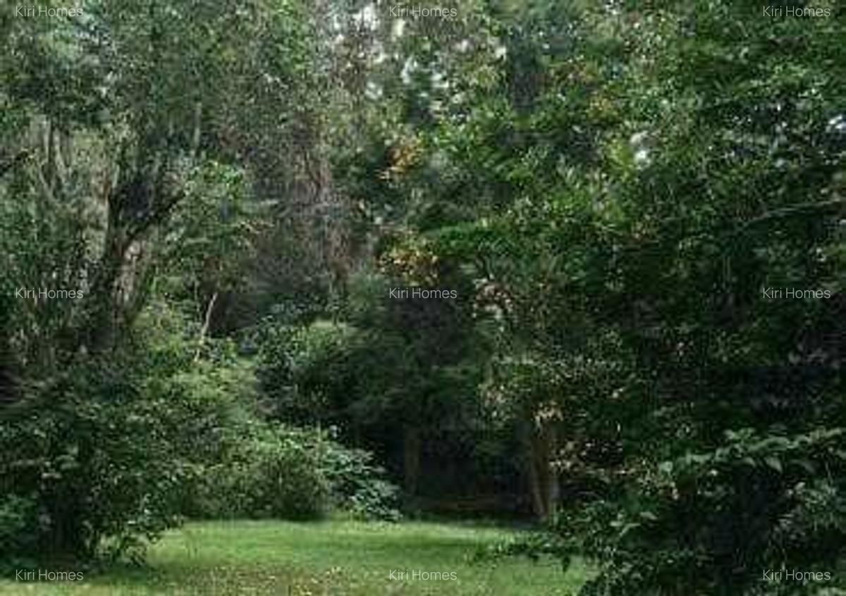 Land at Windy Ridge - 2