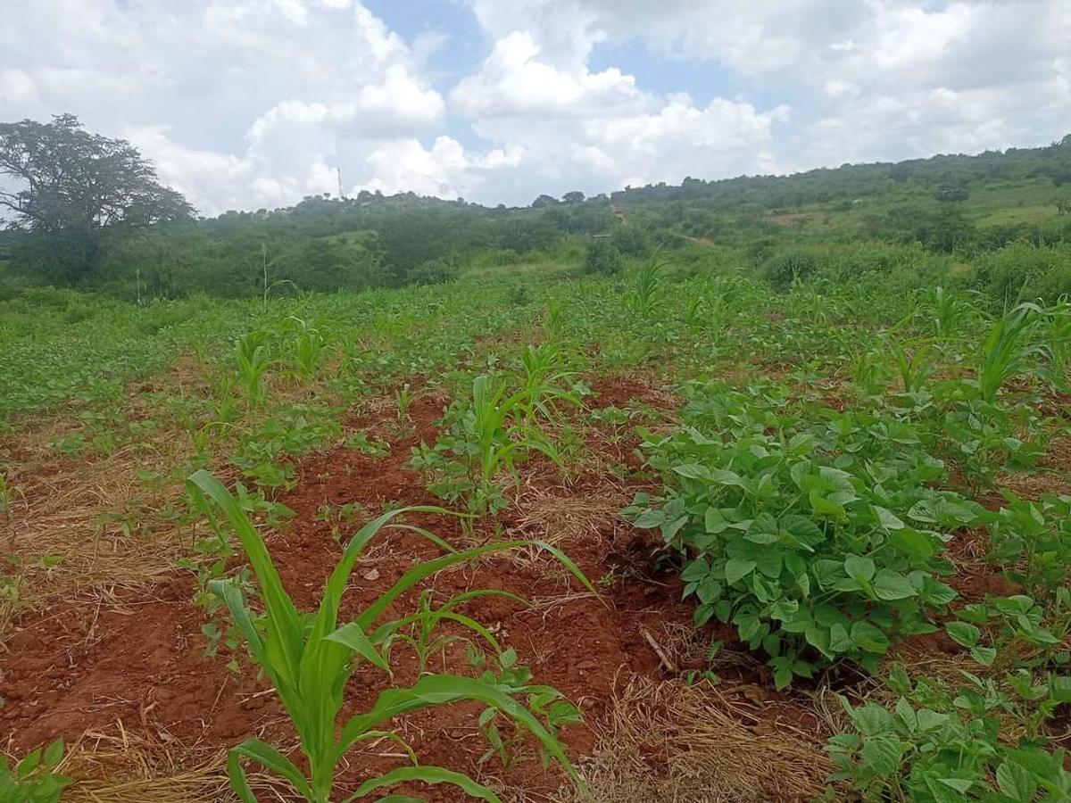 Residential Land at Mutuabare - 14