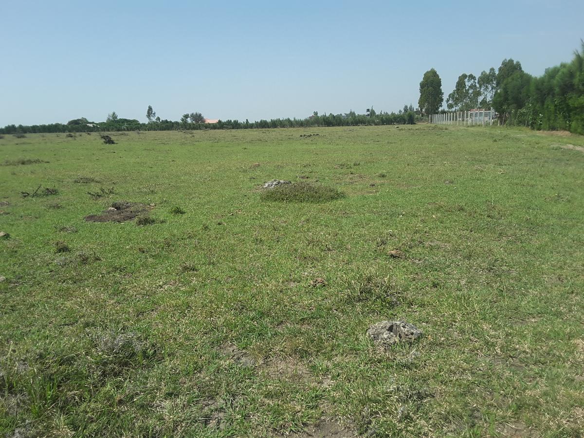 2 ac Residential Land in Ongata Rongai - 7