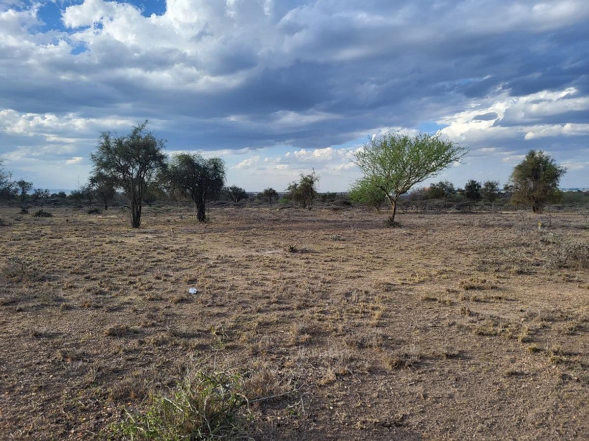 Land in Kajiado - 3