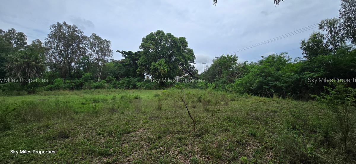 2 ac Land at Animo - 4