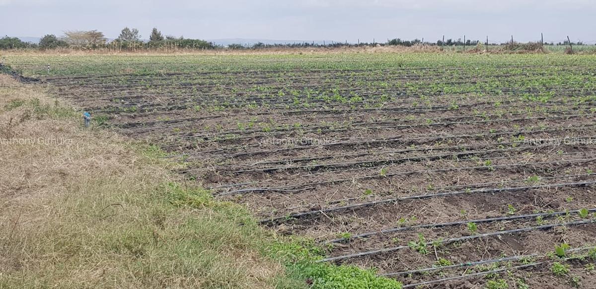 10 ac Land in Isinya - 3