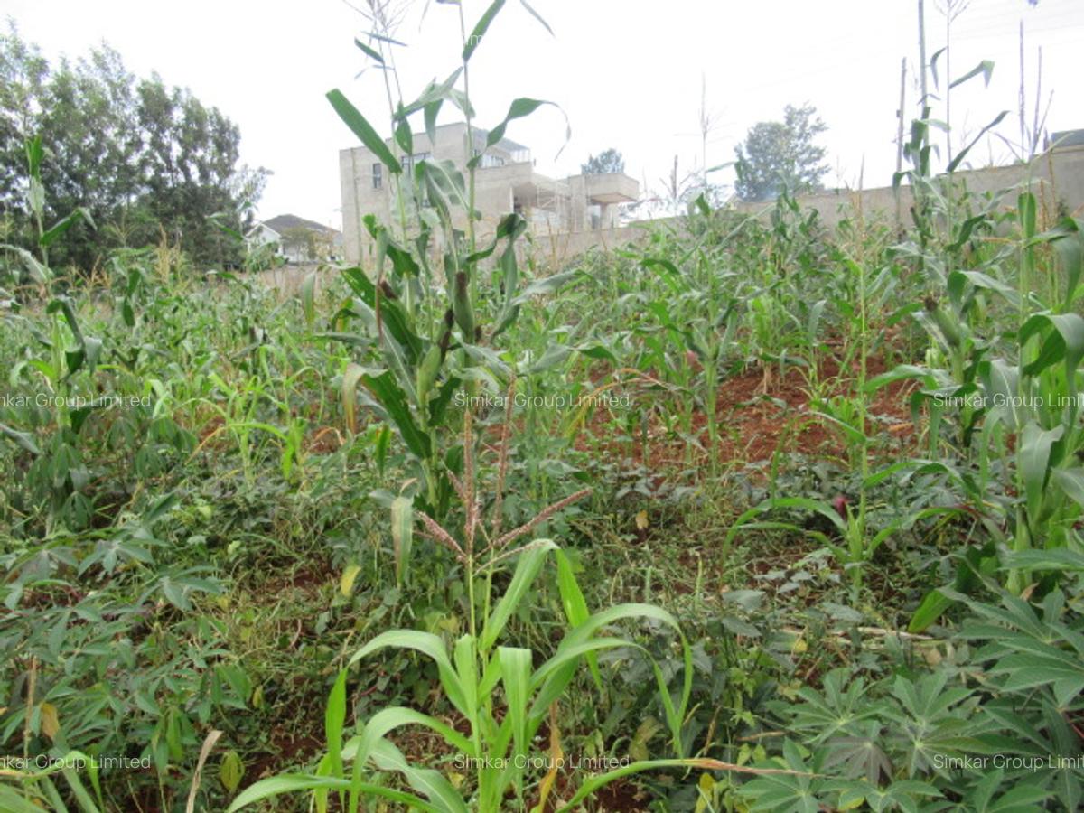 Residential Land at Mushroom Gardens - 7