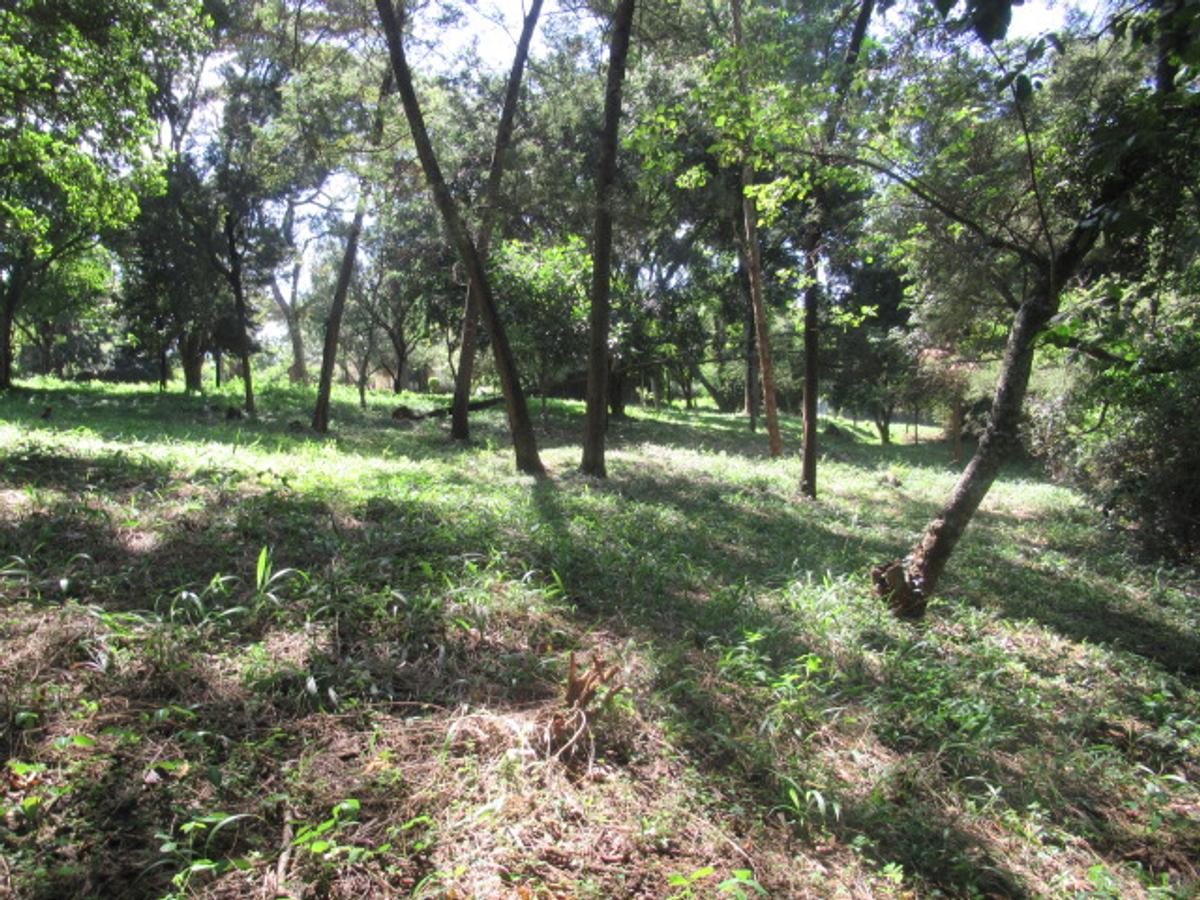 Land at Off Lower Kabete Rd - 12