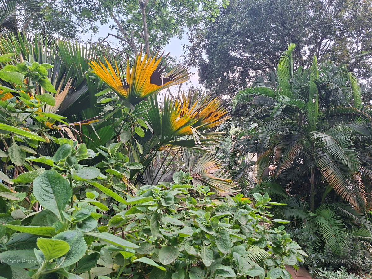 2 Bed Apartment with En Suite at Off Gigiri Rd - 13