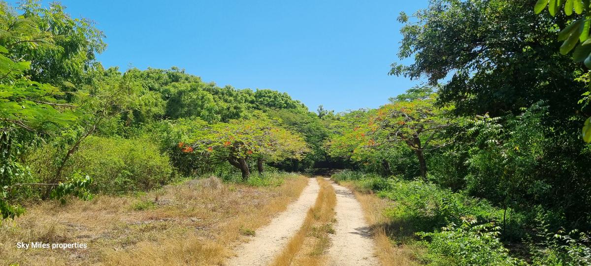 167.5 ac Land at Vipingo - 12