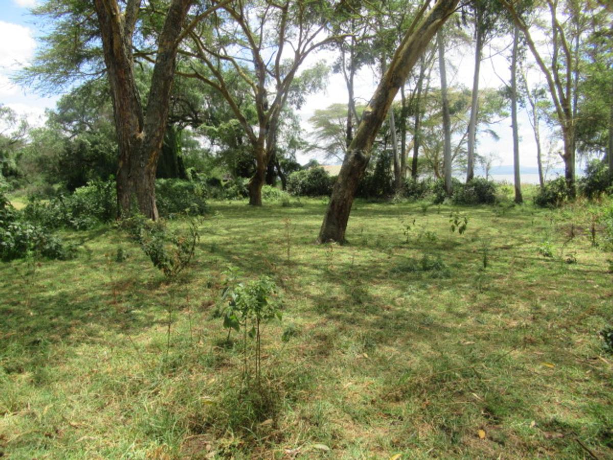 25 ac Land at Moi South Lake Rd - 16