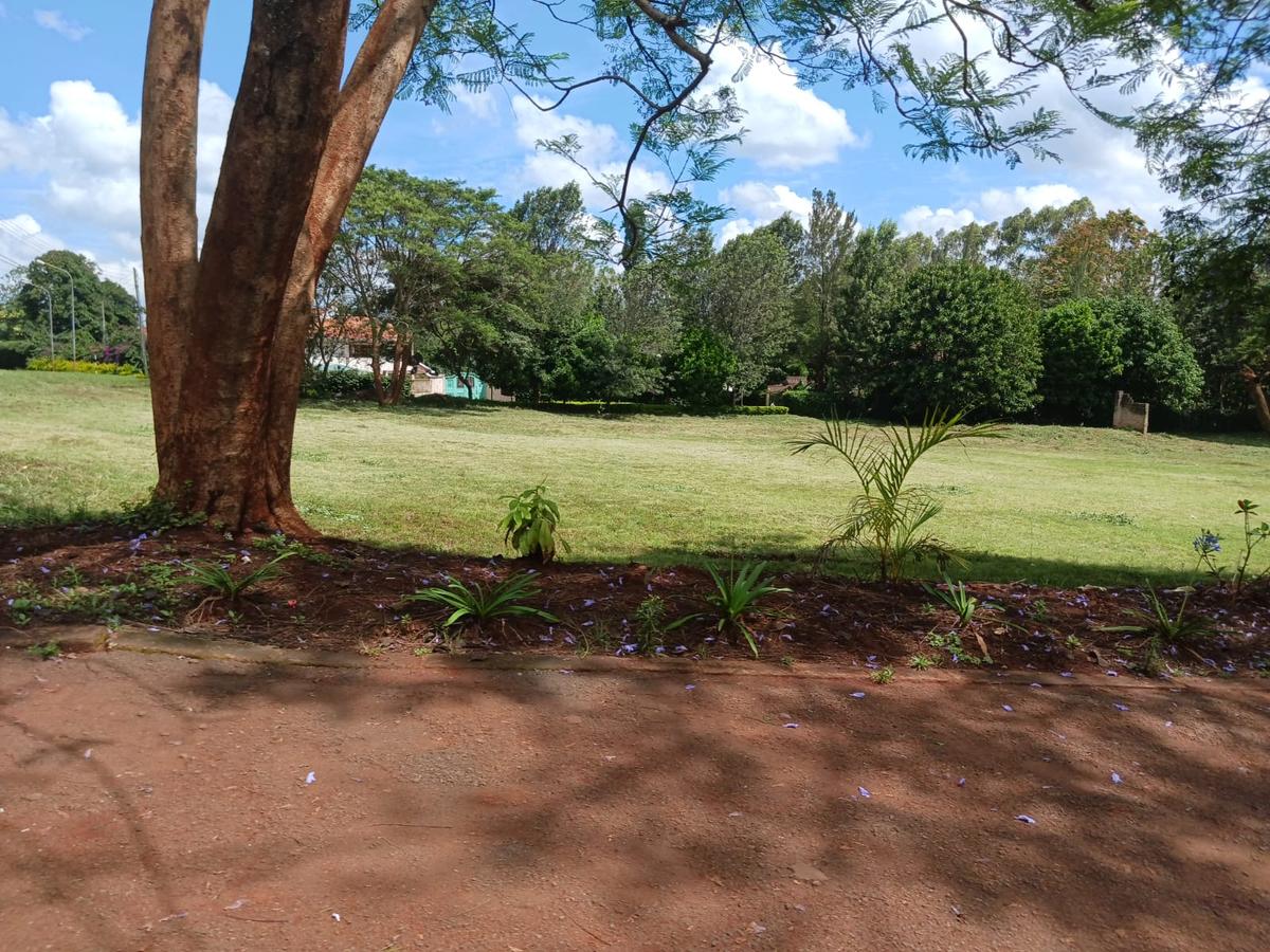 2.25 ac Land at Kitisuru - 8