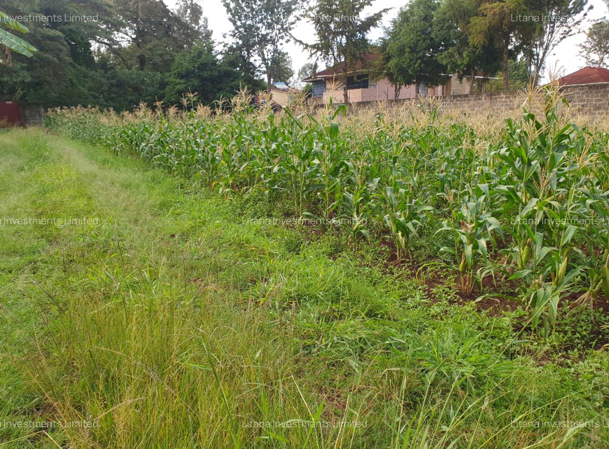 5 ac Land at Runda Paradise Off Kiambu Road - 2