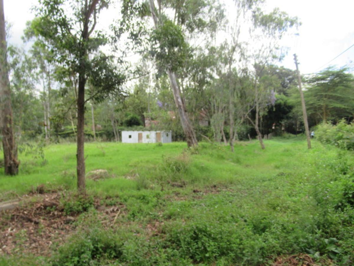 Land at Bogani Rd - 12