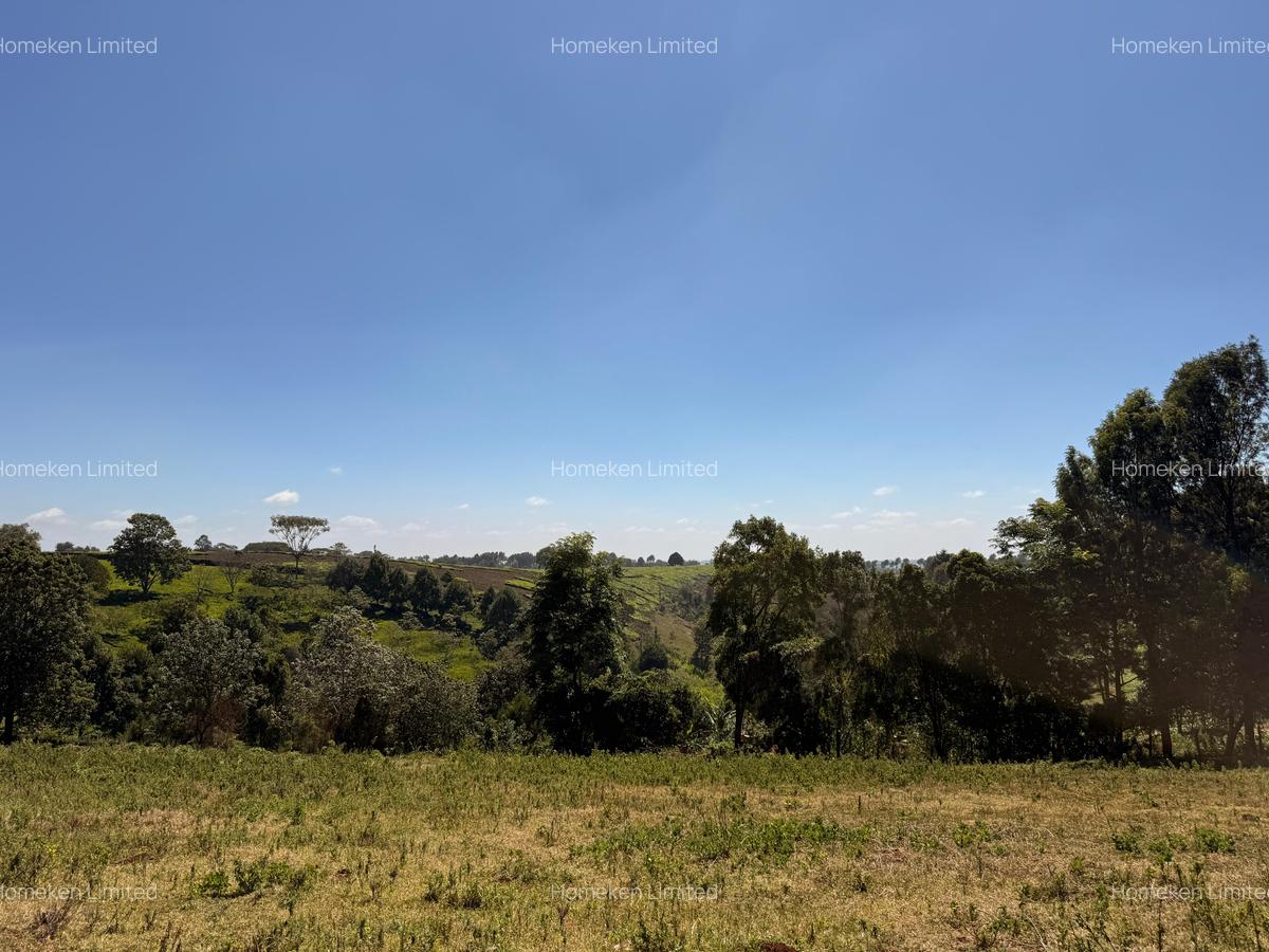 6.36 ac Land at Tigoni - 7