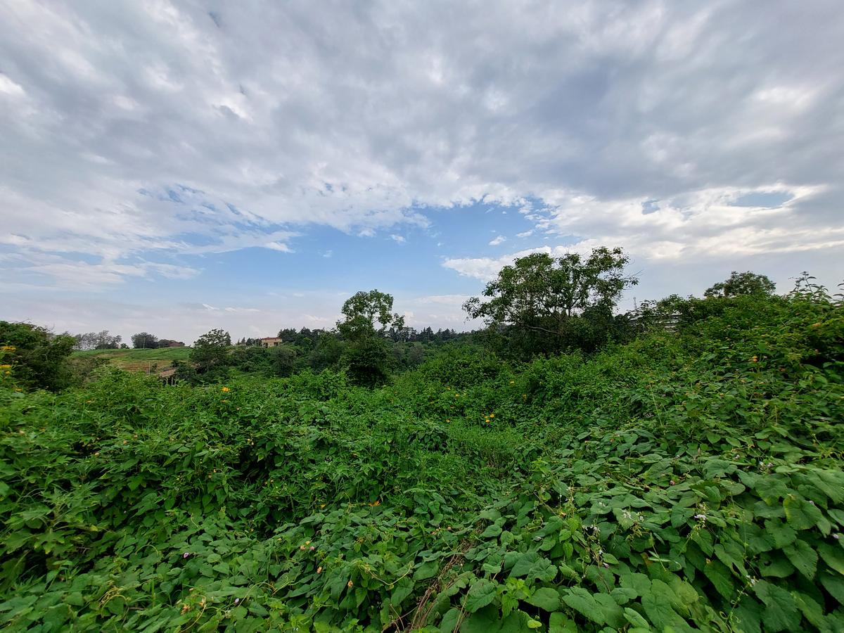 Commercial Land at Redhil Road - 4