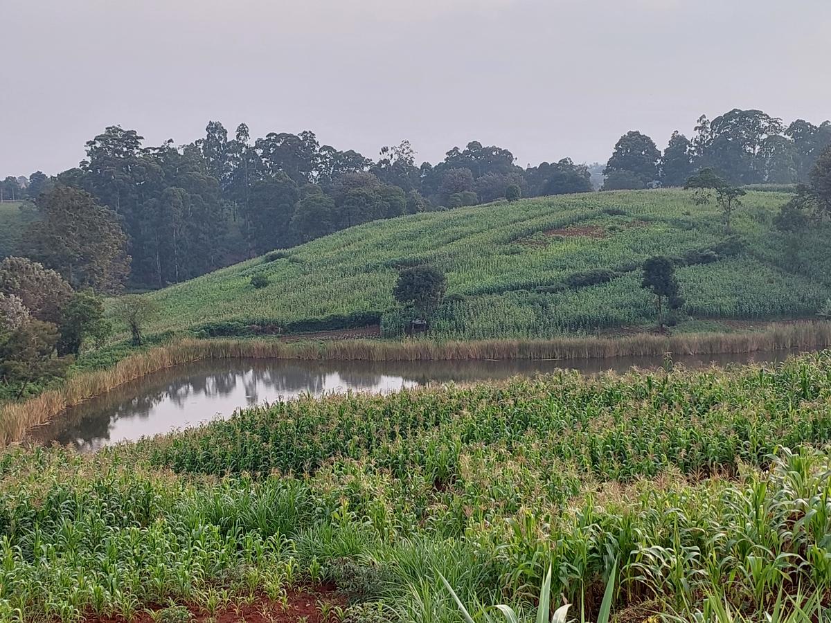 Land at Kitisuru Road - 9