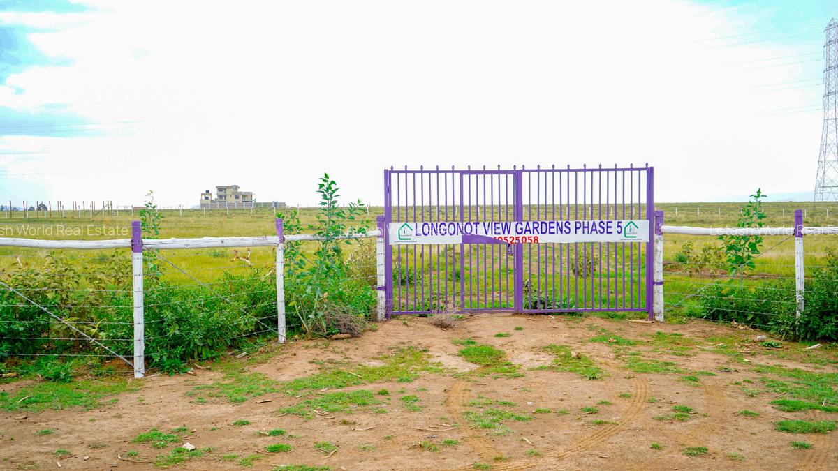 Residential Land in Naivasha - 1