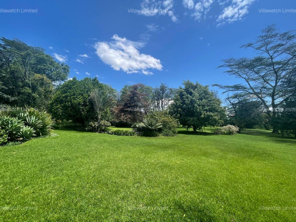 Commercial Property with Backup Generator at Nakuru Town - 3