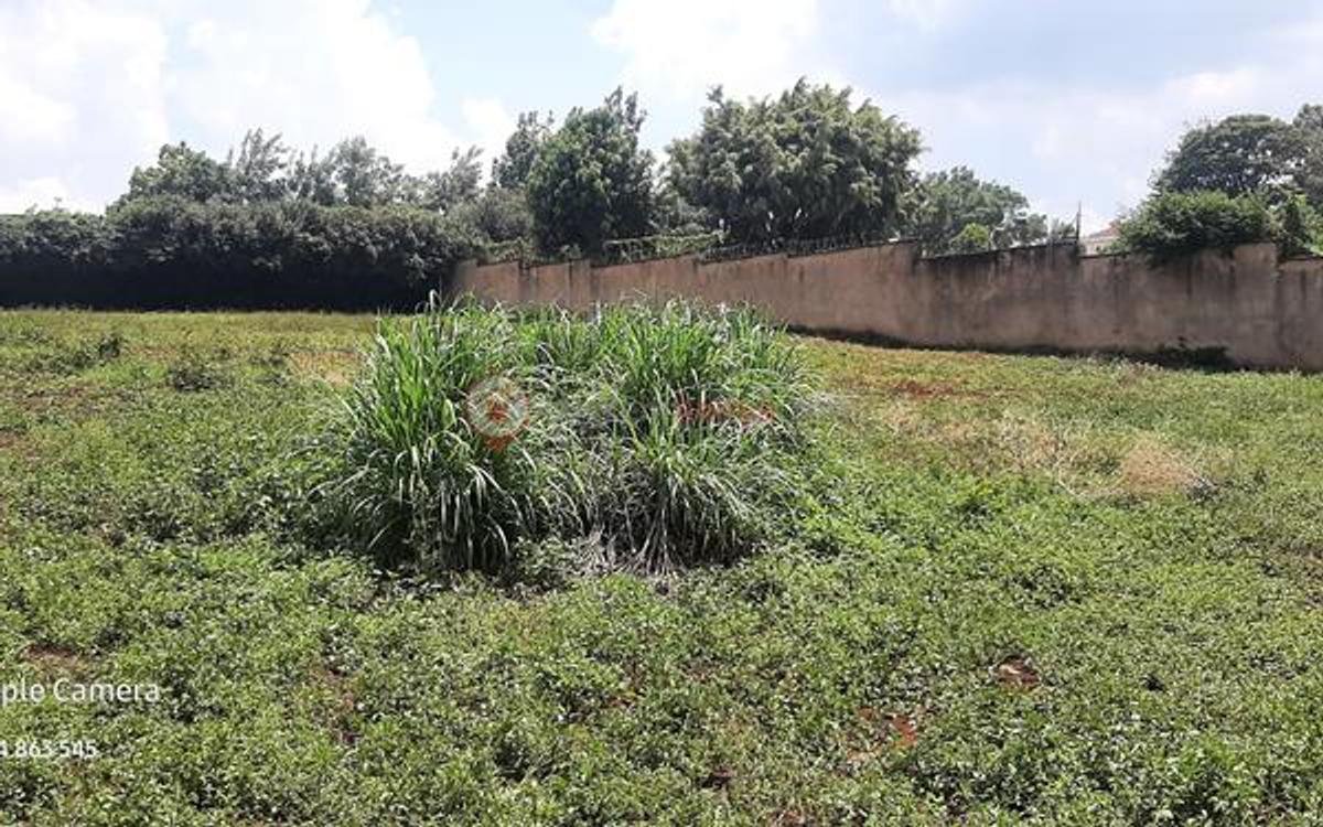 Residential Land at Runda Mumwe - 6