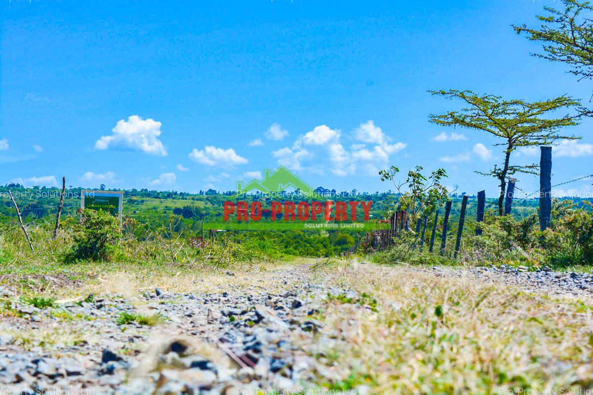 0.05 ha Residential Land at Naromoru - 6